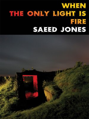 cover image of When the Only Light Is Fire